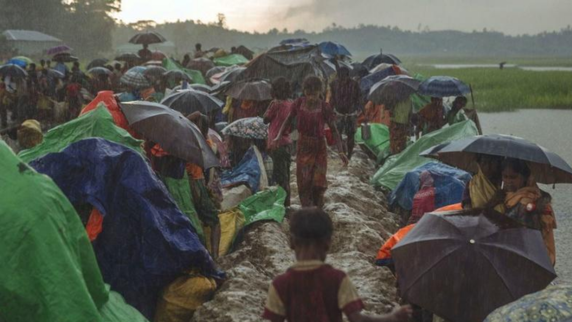 Conférence aux Nations Unies : vers une solution durable pour les minorités du Myanmar.